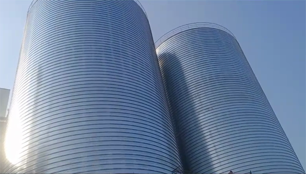 海宁2座混凝土高架卷板仓